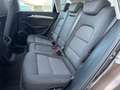 Audi Q3 Q5 2.0 TDI quattro Style Braun - thumbnail 12