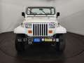 Jeep Wrangler Alb - thumbnail 6