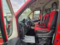 Fiat Ducato 33 2.0 MJT PC-TN OFFICINA MOBILE EX TELECOM Roşu - thumbnail 12