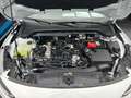 Ford Focus Turnier 1,0 Ecoboost ST-Line Wit - thumbnail 16