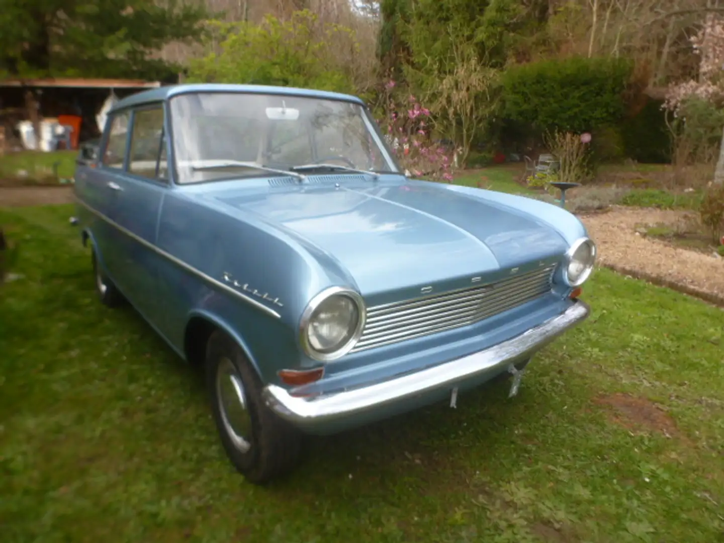 Opel Kadett Type A Blau - 1