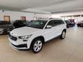 Skoda Kodiaq 2.0TDI SCR DSG 7POSTI Executive FariLED Camera 19” Bianco - thumbnail 1