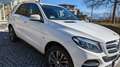 Mercedes-Benz GLE 500 GLE PHEV 500 e 4Matic Aut. Weiß - thumbnail 1