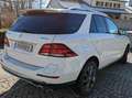 Mercedes-Benz GLE 500 GLE PHEV 500 e 4Matic Aut. Weiß - thumbnail 4