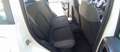 Fiat Panda Panda 1.2i 69 CV - Garanzia - Neopatentati Bianco - thumbnail 11