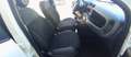 Fiat Panda Panda 1.2i 69 CV - Garanzia - Neopatentati Bianco - thumbnail 12