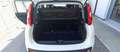 Fiat Panda Panda 1.2i 69 CV - Garanzia - Neopatentati Bianco - thumbnail 10
