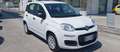 Fiat Panda Panda 1.2i 69 CV - Garanzia - Neopatentati Bianco - thumbnail 4