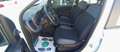 Fiat Panda Panda 1.2i 69 CV - Garanzia - Neopatentati Bianco - thumbnail 8