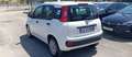 Fiat Panda Panda 1.2i 69 CV - Garanzia - Neopatentati Bianco - thumbnail 7