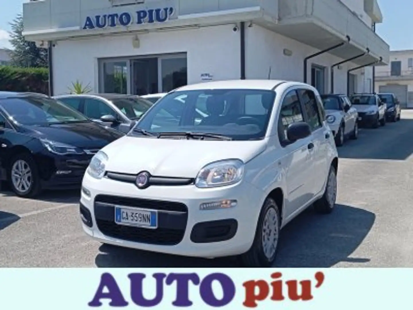 Fiat Panda Panda 1.2i 69 CV - Garanzia - Neopatentati Bianco - 1