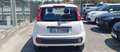 Fiat Panda Panda 1.2i 69 CV - Garanzia - Neopatentati Bianco - thumbnail 6