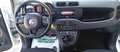 Fiat Panda Panda 1.2i 69 CV - Garanzia - Neopatentati Bianco - thumbnail 14