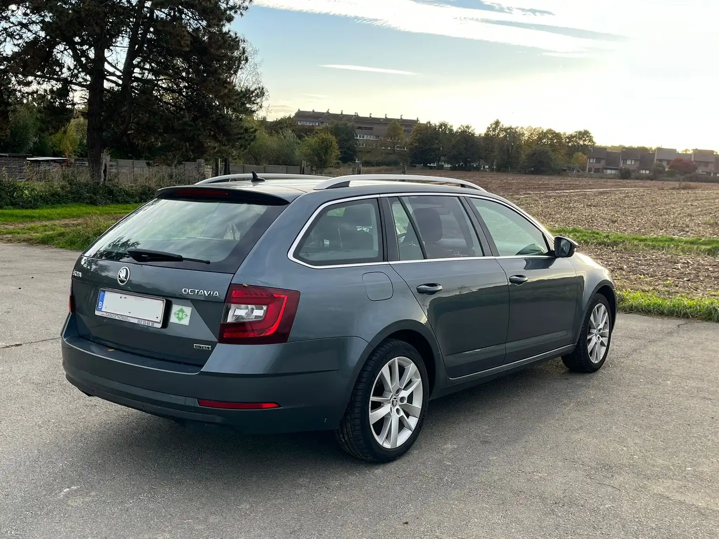 Skoda Octavia Octavia Combi 1.4 TSI G-TEC Style Šedá - 1