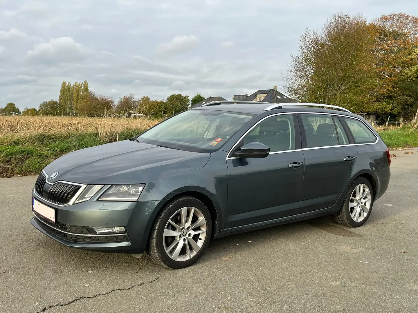 Skoda Octavia Octavia Combi 1.4 TSI G-TEC Style Šedá - 2