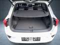 Volkswagen T-Roc T-ROC R-Line 1.5 TSI AHK/Nav/EasyOpen/ACC/AppCon Weiß - thumbnail 13