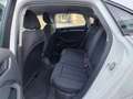 Audi A3 Sedan 2.0 Tdi Ambition 150cv Bianco - thumbnail 14