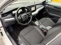 Skoda Octavia 2,0 TDI Ambition DSG LED Weiß - thumbnail 15