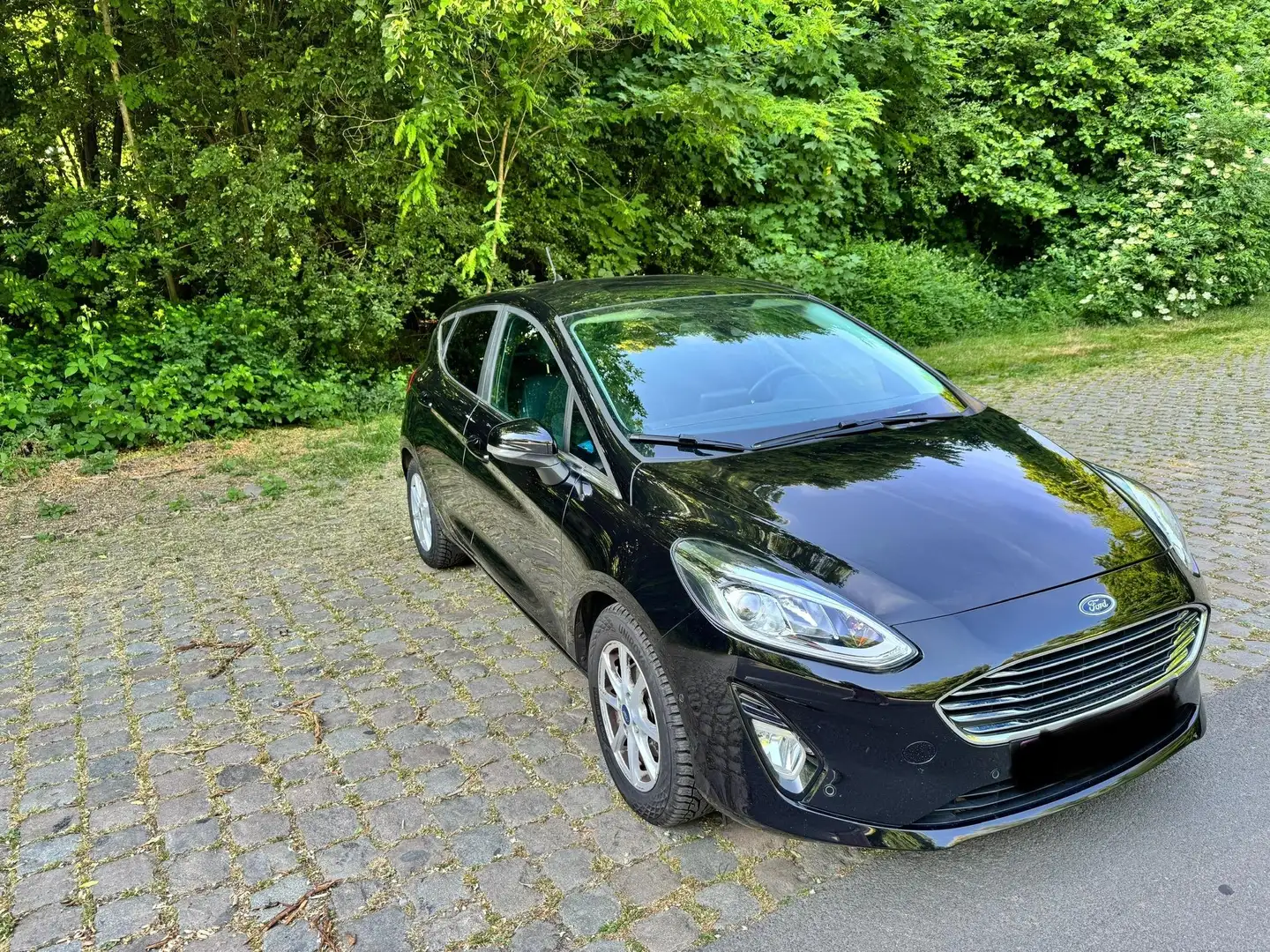 Ford Fiesta Fiesta 1.0 EcoBoost Titanium (EU6d) Noir - 2