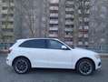 Audi Q5 Q5 3.0 TDI quattro S tronic Weiß - thumbnail 6