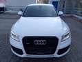 Audi Q5 Q5 3.0 TDI quattro S tronic Weiß - thumbnail 4