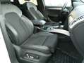 Audi Q5 Q5 3.0 TDI quattro S tronic Weiß - thumbnail 9