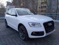 Audi Q5 Q5 3.0 TDI quattro S tronic Weiß - thumbnail 5