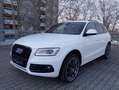 Audi Q5 Q5 3.0 TDI quattro S tronic Weiß - thumbnail 1
