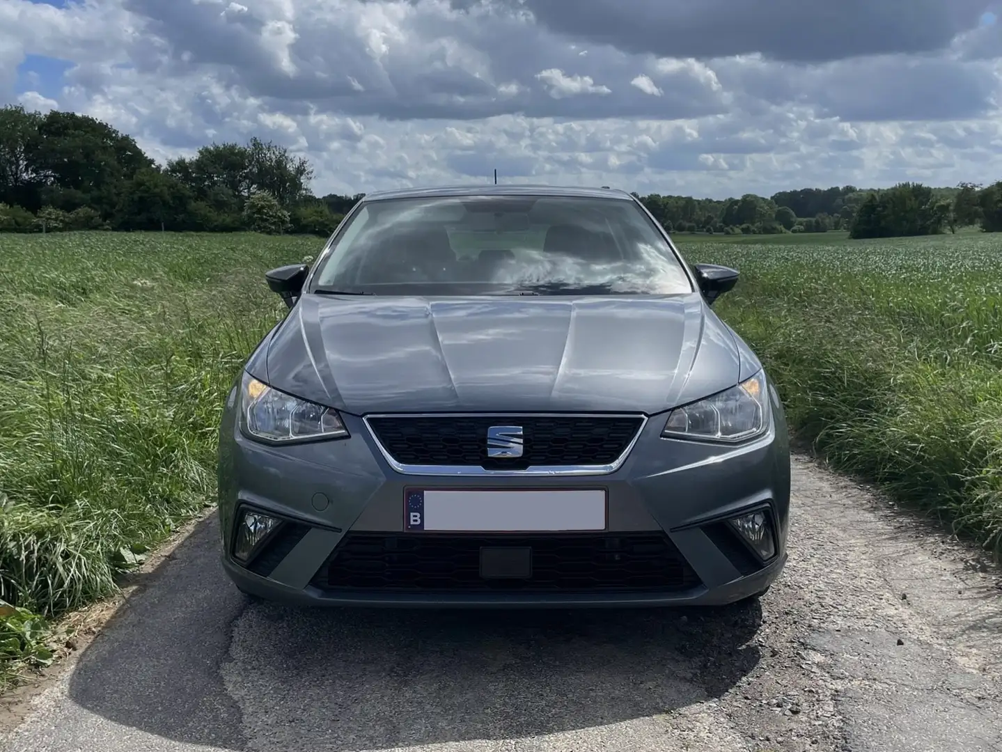 SEAT Ibiza 1.0i MPI Style 75cv Grijs - 2