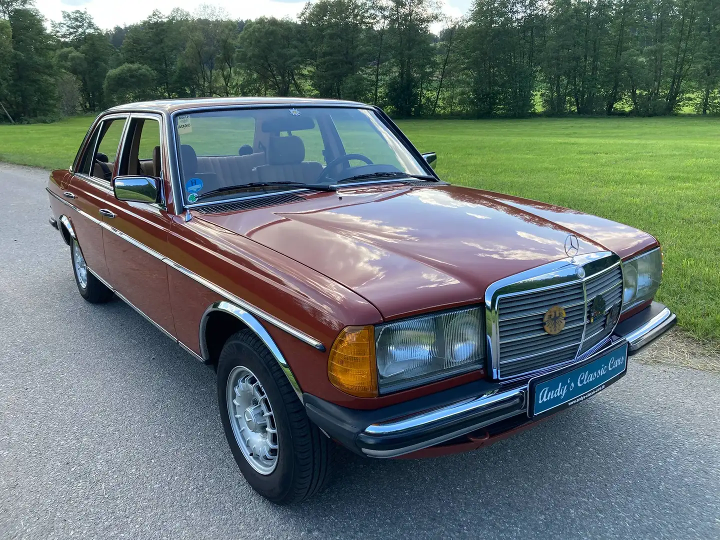 Mercedes-Benz 240 D Rot - 1