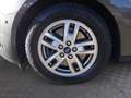 Ford Grand Tourneo Connect Titanium 1,5l TDCi 120PS Aut. Gris - thumbnail 13