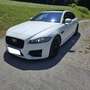 Jaguar XF 20d R-Sport Aut. Weiß - thumbnail 7