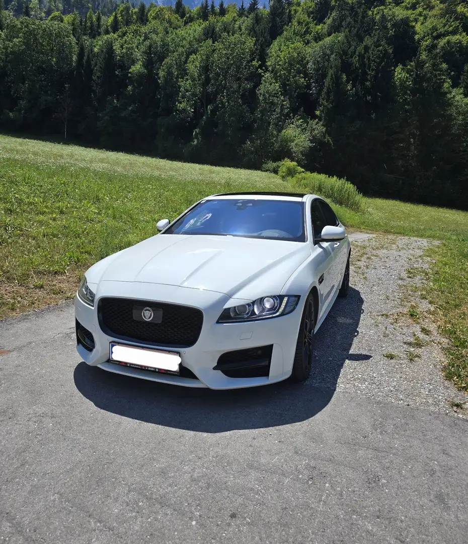 Jaguar XF 20d R-Sport Aut. Weiß - 1