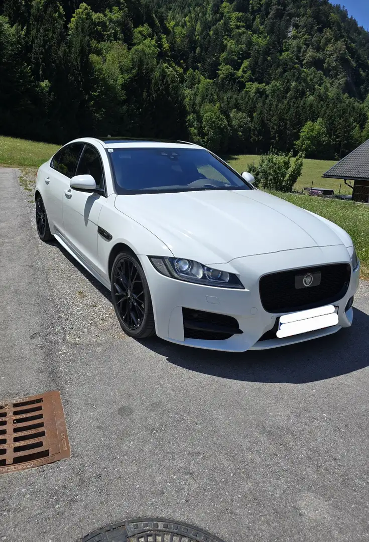 Jaguar XF 20d R-Sport Aut. Weiß - 2