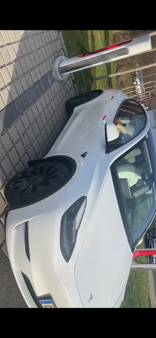 Tesla Model Y Performance Weiß - 1