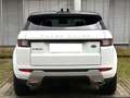 Land Rover Range Rover Evoque HSE*AWD*Kamera*Merdian Weiß - thumbnail 3