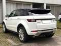 Land Rover Range Rover Evoque HSE*AWD*Kamera*Merdian Weiß - thumbnail 5