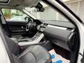 Land Rover Range Rover Evoque HSE*AWD*Kamera*Merdian Weiß - thumbnail 17
