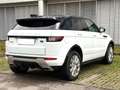 Land Rover Range Rover Evoque HSE*AWD*Kamera*Merdian Weiß - thumbnail 4