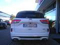 Ford Kuga 2.5 Full Hybrid 190 CV CVT 2WD ST-Line Blanc - thumbnail 4
