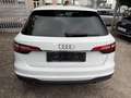 Audi A4 Avant 40 TDI S-LINE/STANDHEIZ./LED Weiß - thumbnail 6