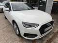 Audi A4 Avant 40 TDI S-LINE/STANDHEIZ./LED Weiß - thumbnail 3
