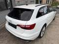 Audi A4 Avant 40 TDI S-LINE/STANDHEIZ./LED Weiß - thumbnail 5