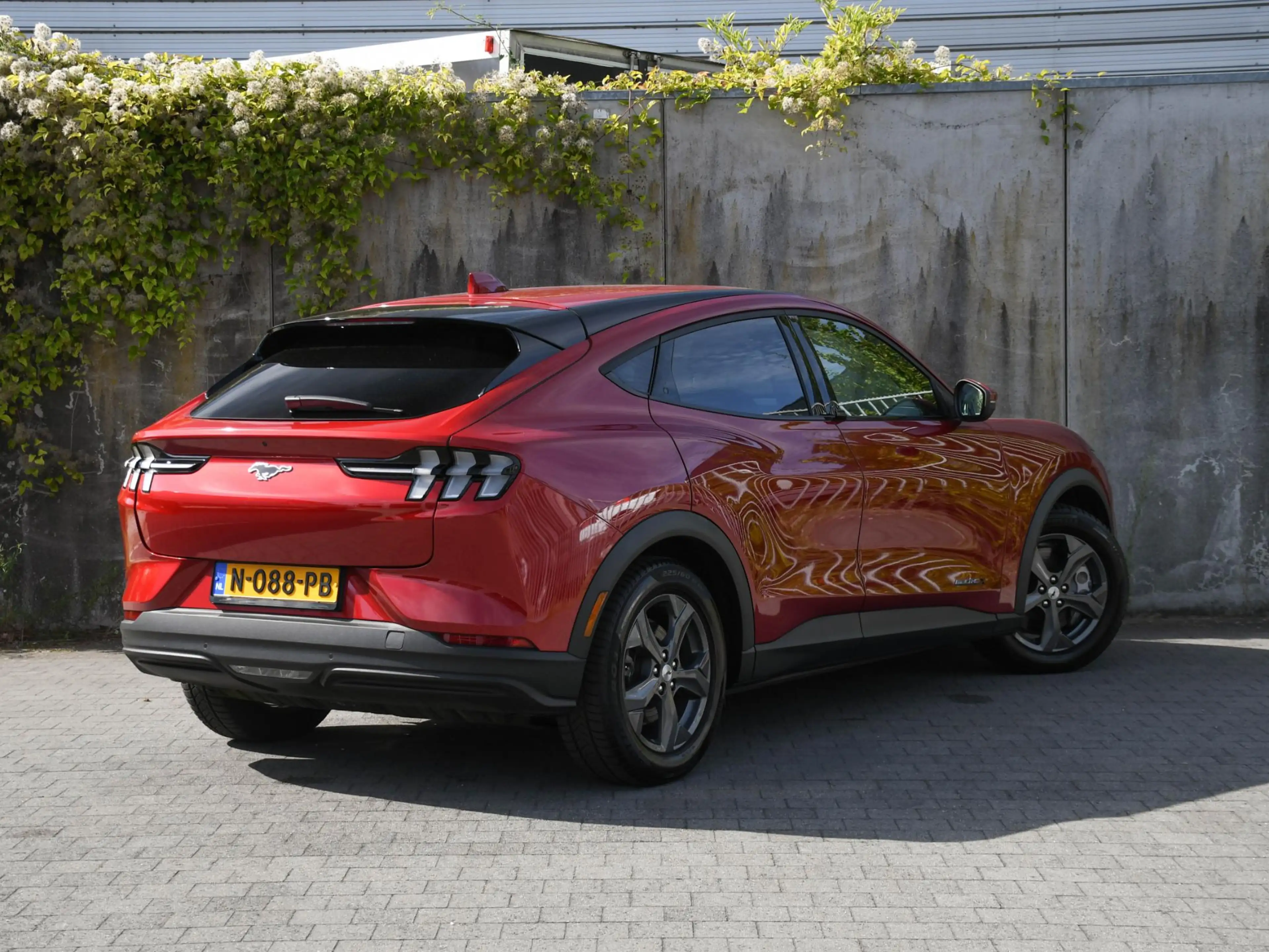 Ford Mustang Mach-E Extended Range RWD 98kWh 286pk Automaat LEDER | DO — photo 5