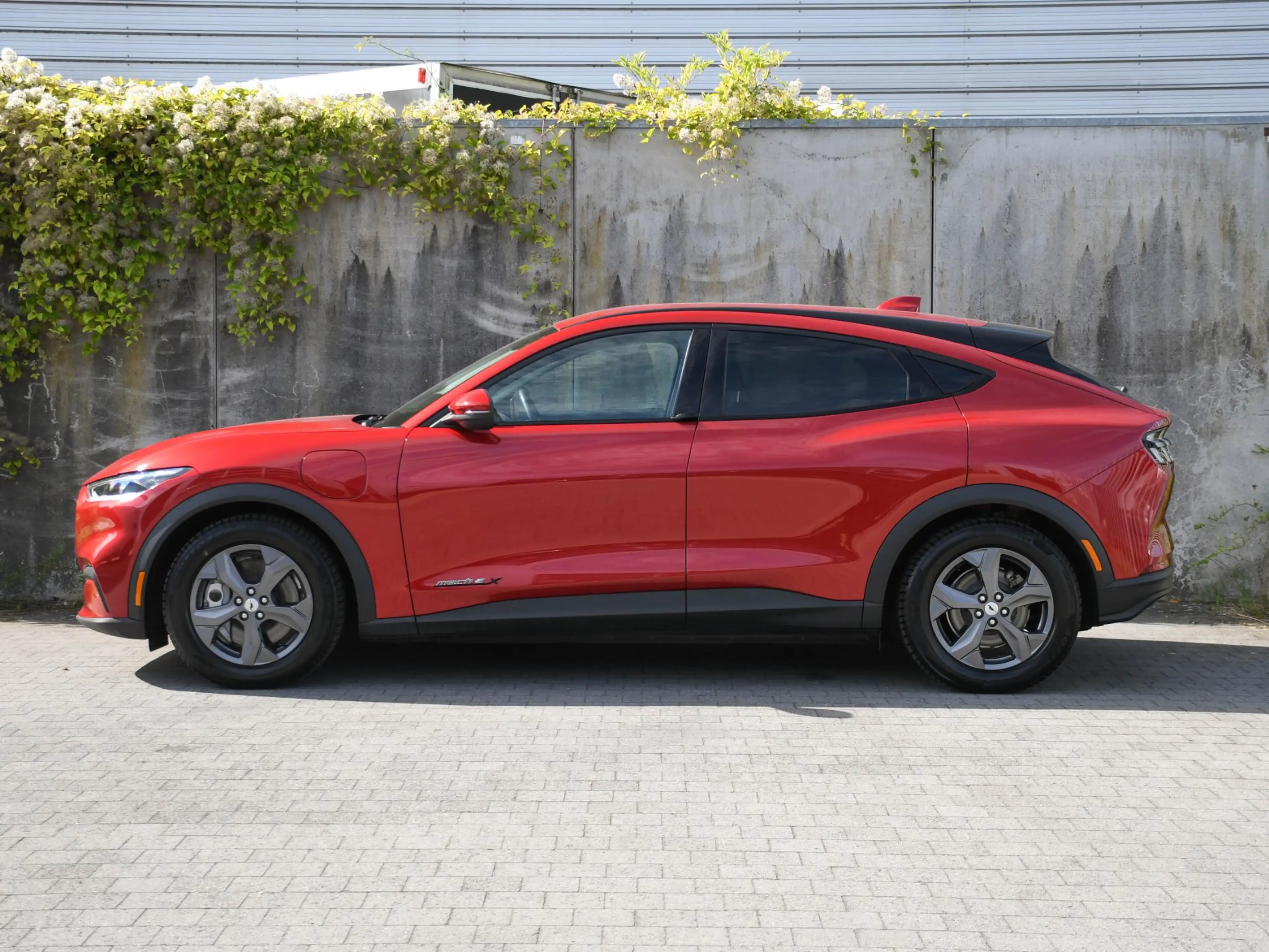 Ford Mustang Mach-E Extended Range RWD 98kWh 286pk Automaat LEDER | DO — photo 3