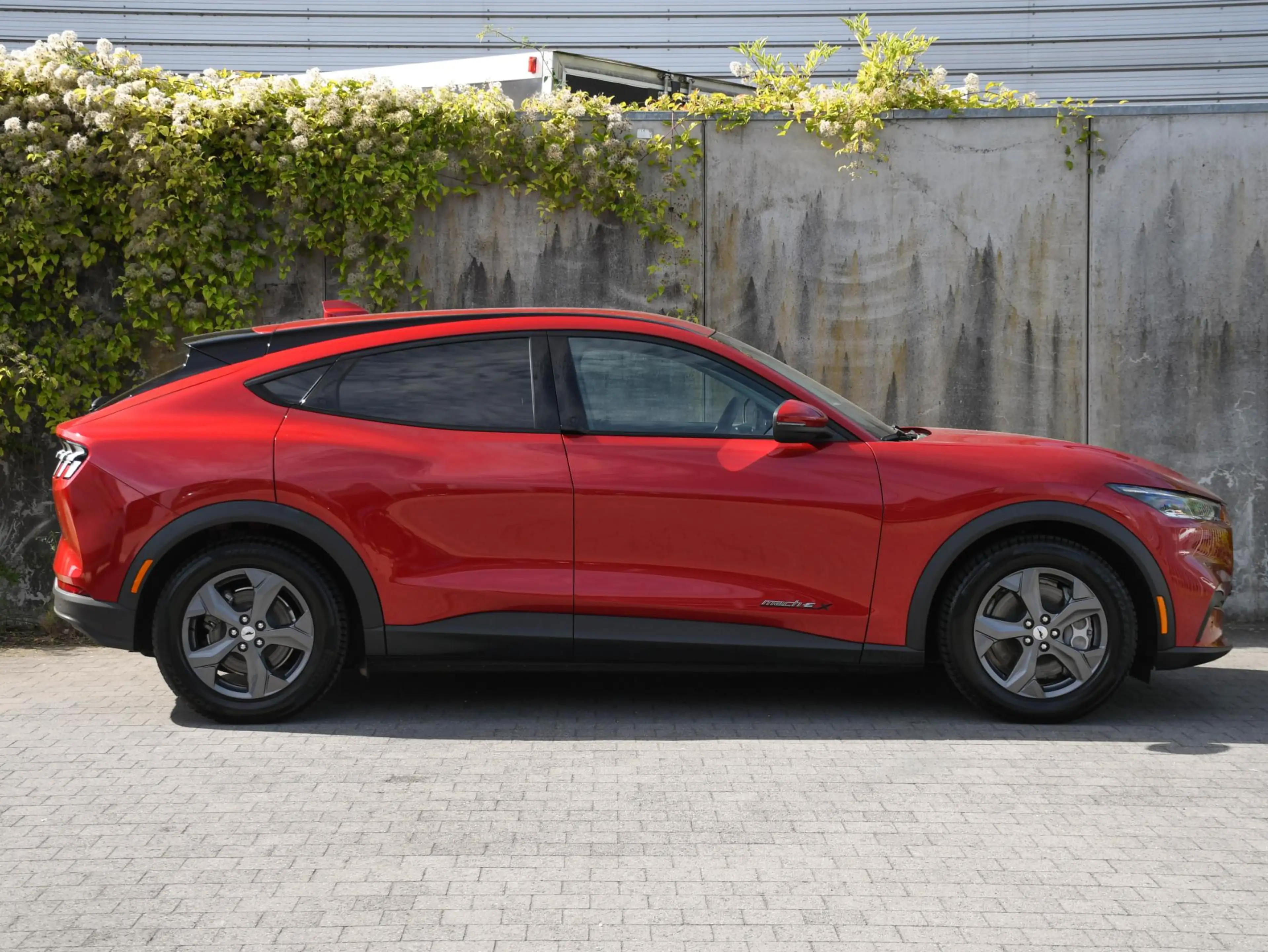 Ford Mustang Mach-E Extended Range RWD 98kWh 286pk Automaat LEDER | DO — photo 4