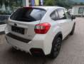 Subaru XV XV 1,6i Comfort Comfort Weiß - thumbnail 4