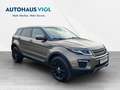 Land Rover Range Rover Evoque Evoque 2.0 TD4 SE Brun - thumbnail 7
