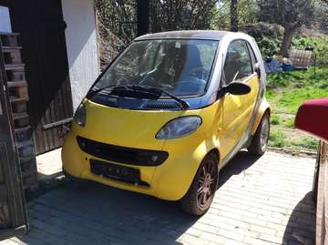 smart