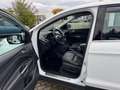 Ford Kuga Kuga 2.0 TDCi 4x4 Titanium Weiß - thumbnail 11